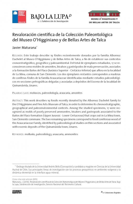 Revaloración científica de la Colección Paleontológica del Museo O’Higginiano y de Bellas Artes de Talca