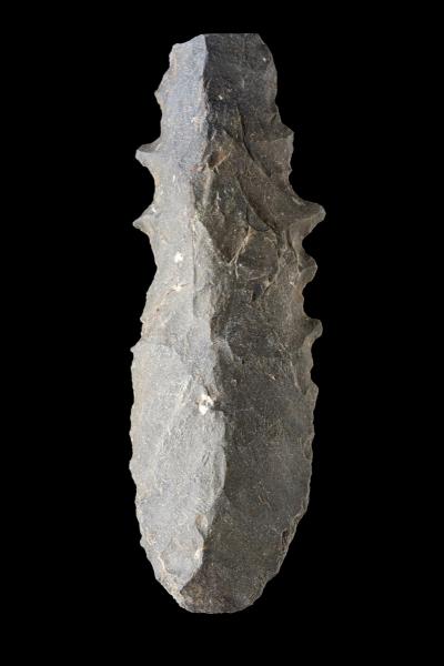 Punta de proyectil de borde denticulado (fragmento)